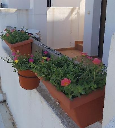 Апартаменты Condado De Alhama, Naranjos 8 Алама-де-Мурсия Экстерьер фото